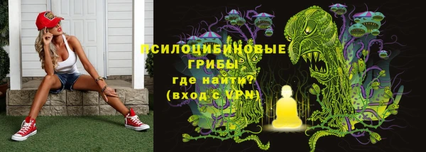винт Баксан