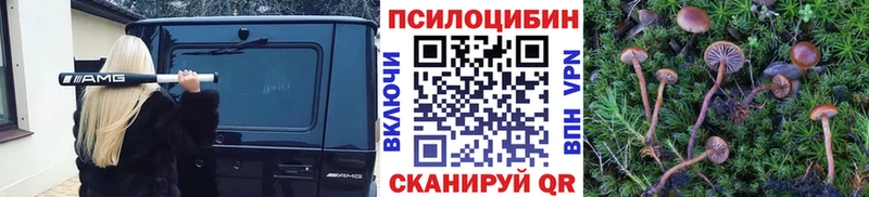 Галлюциногенные грибы прущие грибы  Вязники 